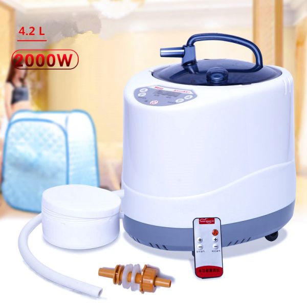 2 Liter Modern Portable Sauna Steam Pot Generator For Home Steam Saunas Spa Machine For Body Detox Weight Loss US EU Plug