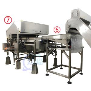 Stable 380V Seafood Processing Plant , Multipurpose Shrimp Deheading Line