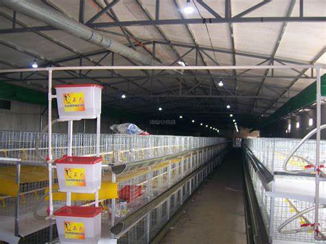 Quick Assembly Lightweight Steel Frame Chicken House Weather Resistant