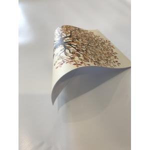 Vivid PVC Flex Banner Fabric Double Side Color Advertising Materials