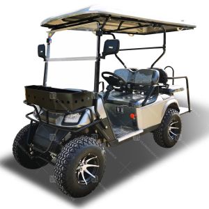 Customizable 4-Seater Electric Utility Golf Cart Lithium Battery Golf Buggy for