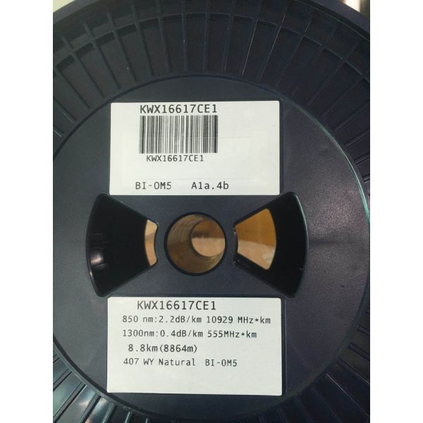 OM5 100 Gigabit Multimode Duplex Fiber Optic Patch Cord with PVC/LSZH Material and Customizable Length