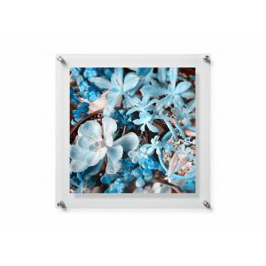 Wall Mounted Acrylic Photo Frames / Double Panel Clear Acrylic Floating Frame