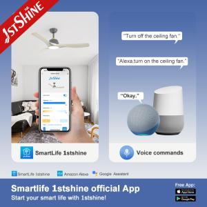 Pure Copper Motor LED Ceiling Fan with Remote Control and App Control Modern