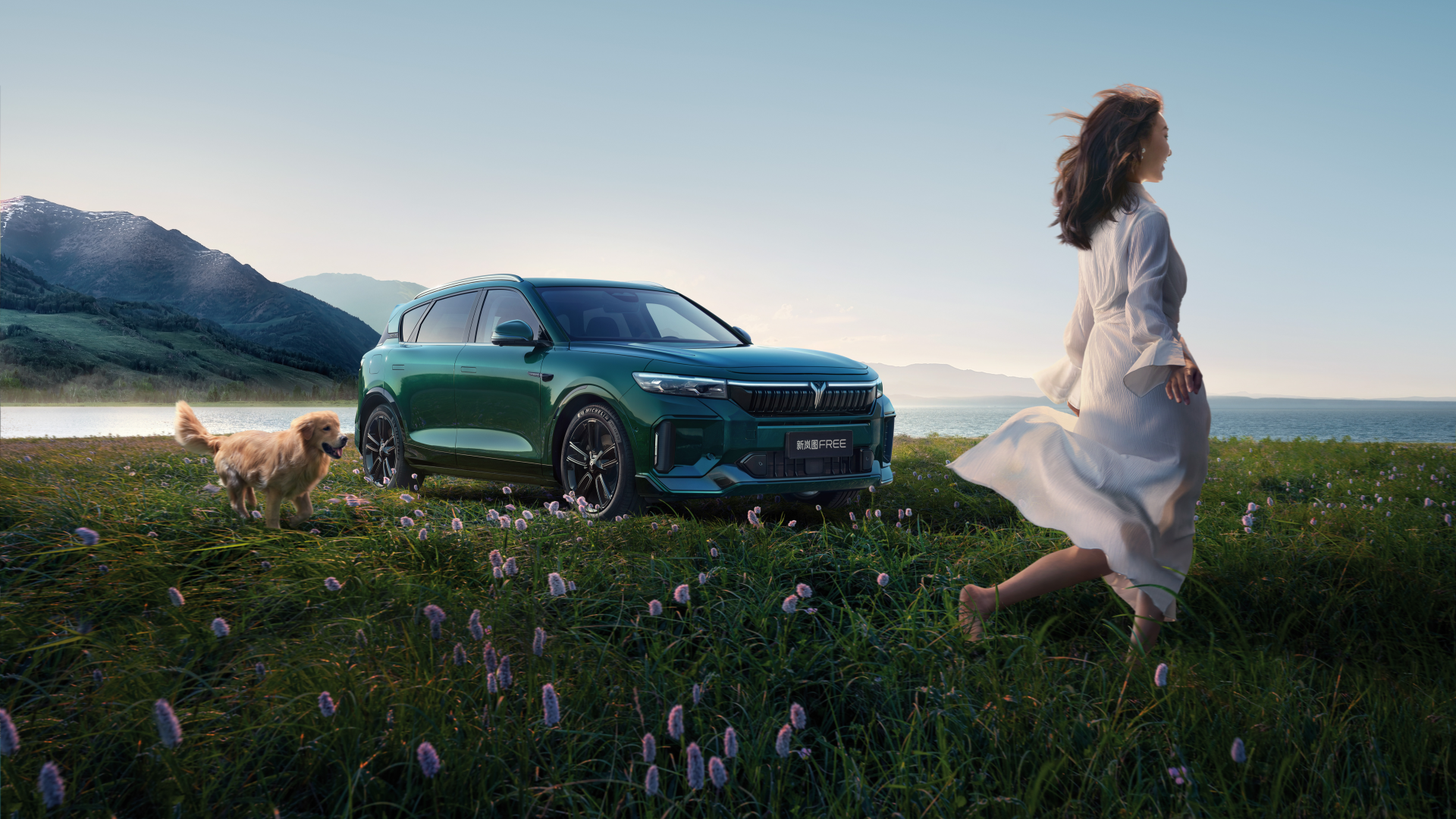 200Km/h Max Speed Electric Car Voyah Free 5-Seat SUV with Hybrid Technology and Body Structure