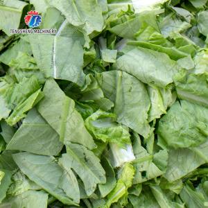 Double head vegetable cutting machine papaya chieh qua pumpkin wax gourd Ginger