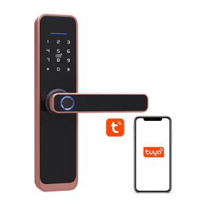 6V Bluetooth Smart Door Locks Sturdy Red Bronze Wifi Front Door Lock