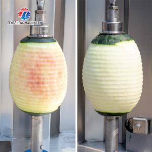 1.5KW 300KG Stainless steel commercial fruit peel machine Multi-functional fruit