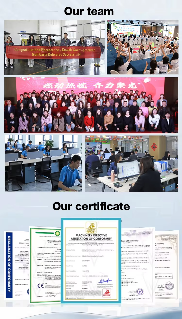 CE Approved 2 Seaters 48V High-Speed Golf Buggy Electric Cart with Cargo Box Closed Truck Housekeeping