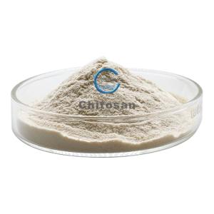 High Molecular Weight Chitosan Powder Oligosaccharide Water Soluble