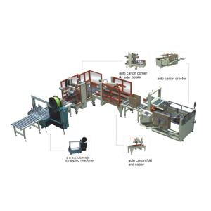 AirTAC Robot Palletizer Machine Automatic 120kg FESTO Stacking