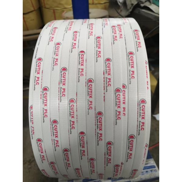 Single Screw PP Strap Making Machine 1 To 4 Polypropylene Strapping Extrusion