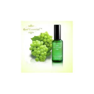 organic grape seed extract powder 95% opc --Vitis vinifera L for healthcare