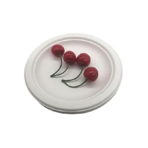 China 6 Inch  Microwavable Party Bagasse Disposable Plates on sale