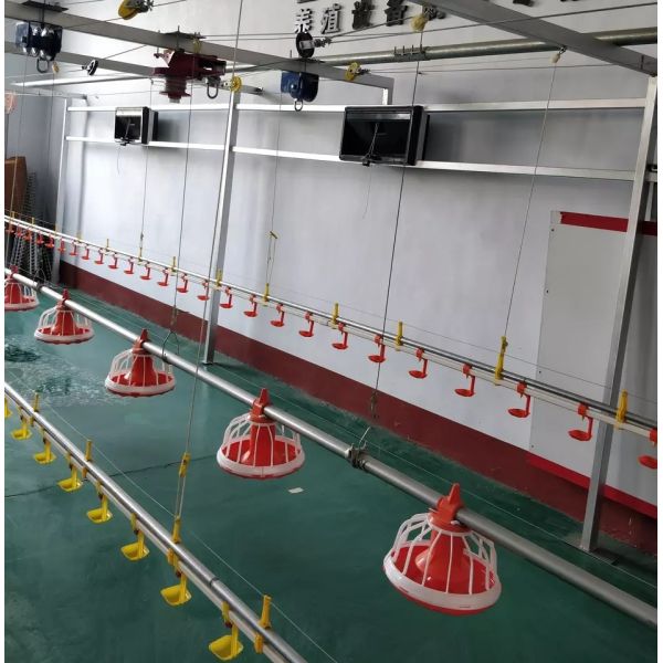 Quality Diameter 45mm Poultry Feeding Machine Environmental Control System wholesale