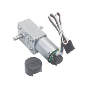 Cheap Micro DC Electric Double Shaft Worm Geared Motor 6V 12V 24V 6-150RPM for sale