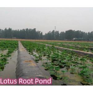 Black Geomembranes for Fish Ponds Landfill Sites Made of High Density Polyethyle