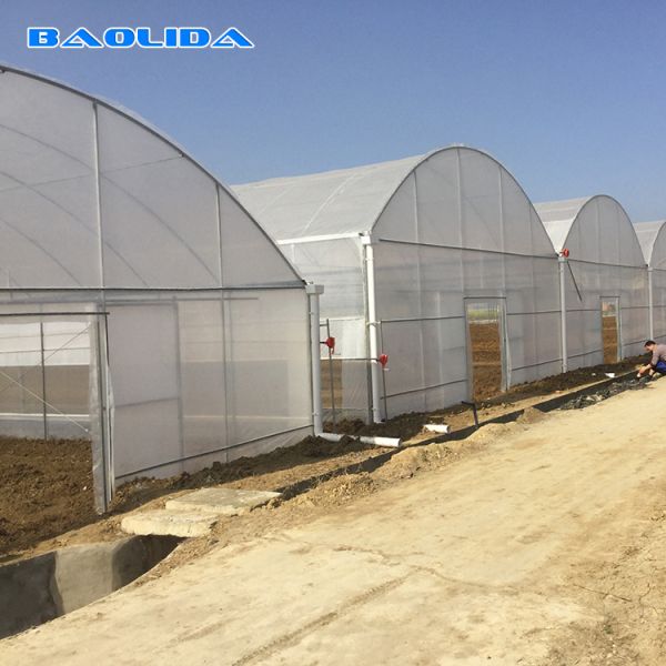 Vegetables Multispan Poly Tunnel Greenhouse With Cooling Ventilation System