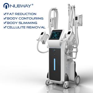 Cheap 2018 FDA approval most professional 10.4 inch touch screen good reuslt 4 heads Cryolipolysis slimming machine for sale
