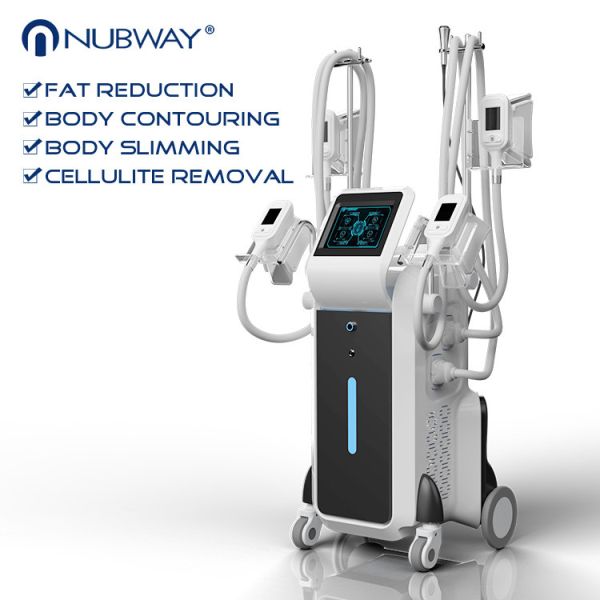 2018 newest 2500W 3 years warranty best seller 4 heads Cryolipolysis slimming