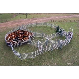 Heavy Duty Cattle Corral Panels For Sale Direct Portable Cattle Panels