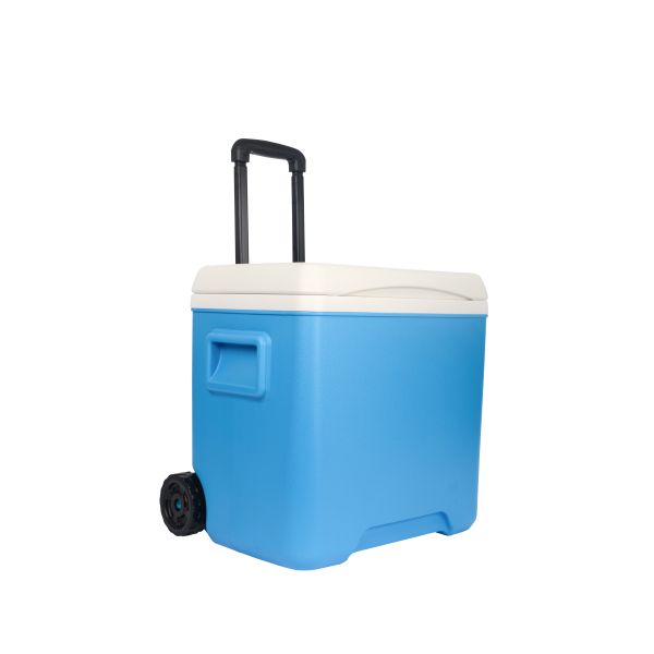Quality Portable Cooler Box Cold Chain Transportation Outdoor Camping Function wholesale