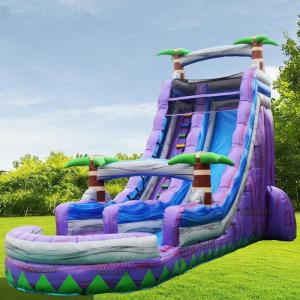 Max Capacity of 100-500kg Inflatable Water Slide for Adults PVC Material
