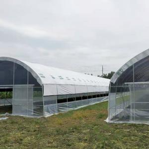 Custom Blackout Light Deprivation Greenhouse with Automated Shading System for