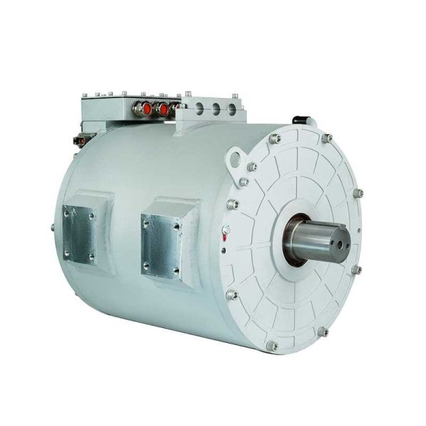 Electric Loader Motor