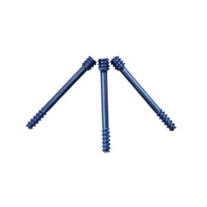 Orthopedic Implants Titanium Herbert Screw Fixation