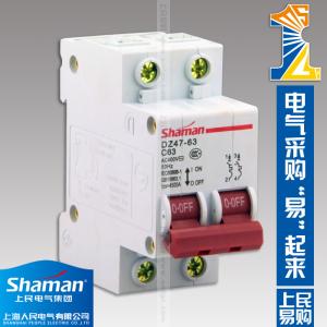 High quality good price DZ47-63-2P-63A Mini circuit breaker,murray circuit