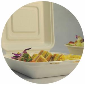 BAGASSE BIO-DEGRADABLE CLAMSHELL, FIRM AND PRETTY, DOUBLE LOCK DESIGN, WITH LID
