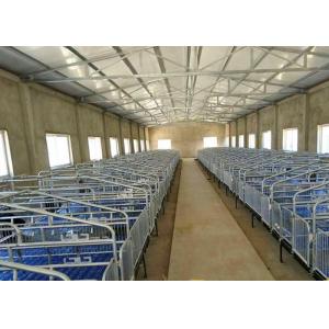 China 2.5mm Pipe Two Sows Stainless Steel Pig Farrowing Crate on sale