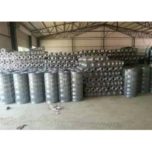 Iron Security Hard Square Wire Mesh Fencing Apply In Sheep Chicken Custom Made