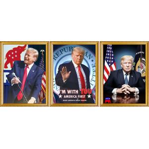 TRUMP Designs Printing Customized 3D PET Lenticular Poster 3D Lenticular