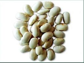 China 1%2% Phaseolin White Kidney Bean Extract on sale