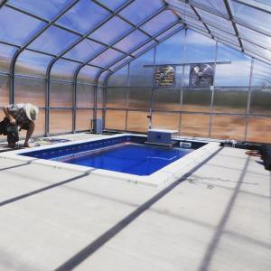 Custom Design and Double Arch Beam Greenhouse for Tomato/Cucumber Growing Large