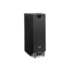double 15 inch pro 2 way loudspeaker system T215BII
