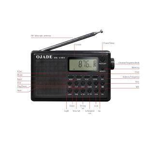 Bluetooth Support Digital Radio with FM 50 Channel Memory and Portable Design