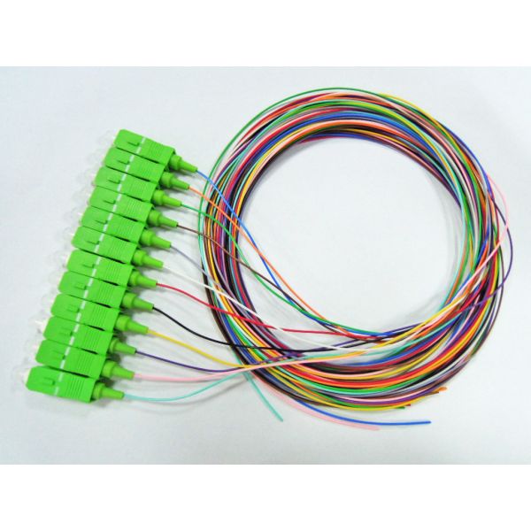 12 Strand SC APC Optical Fiber Pigtail 900 Micron Tight Buffer For Telecommunica