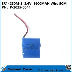 Cheap ER14250M-2 3.6V 1600MAH Wire 5CM Battery Can Be Used In Instruments, The Internet Of Things , Wireless Communication, Medical Electronic Equipment, for sale