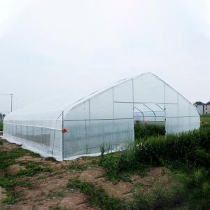 Double Arches Tunnel Plastic Greenhouse Strong Structure Cold Area Support
