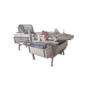 AC380V 50HZ 1000KG/H Vortex Type Vegetable Washing Machine
