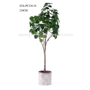 Heart Shape Green Leaves Artificial Ficus Tree 120CM 150CM 180CM 210CM