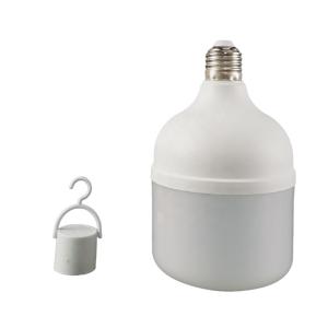 Ultralight Emergency T Bulb