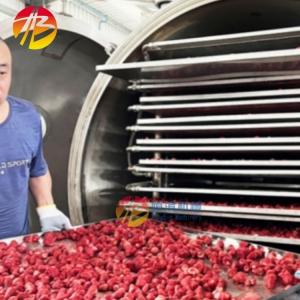 50Kg Fruit Vegetable Vacuum Freeze Drying Machine for Optimal Performance in