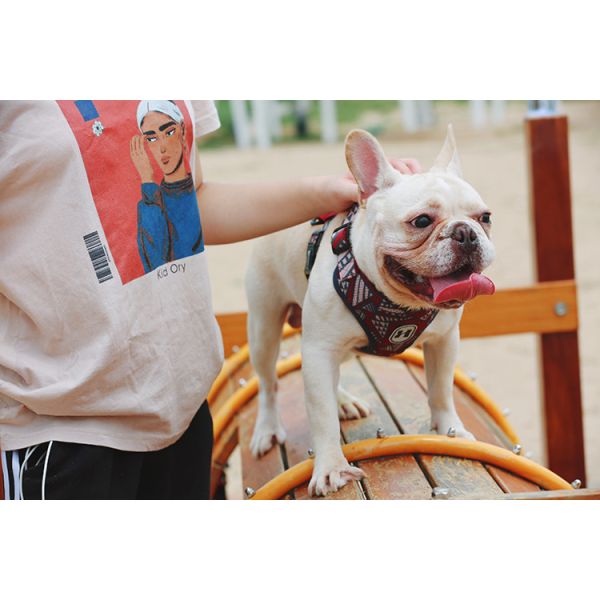 Extra Small Dog Walking Harness Reflective Soft Padded Easy Walk Harness