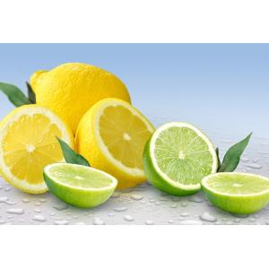 fruit powder dried lemon peel powder factory wholesale/pure lemon juice