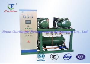 Cheap Blast Freezer Screw Compressor Rack with PLC controller for sale