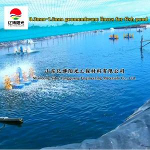Black Blue HDPE Geomembrane Liners for Waterproof 0.2-1.0mm Thickness Direct
